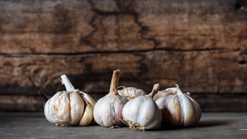 What happens if you eat garlic every day, and how much to eat so as not to harm your health