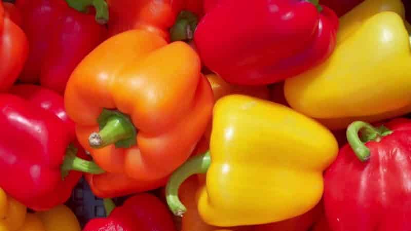Where and how to store bell peppers for the winter: fresh, frozen, dried, dried and canned