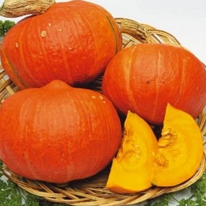 A hybrid with an original flavor that will pleasantly surprise you - Hazelnut pumpkin: we grow it without much hassle