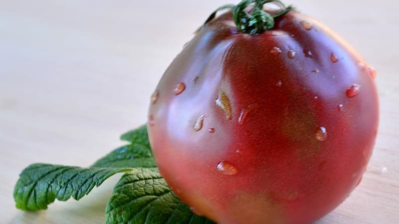 Ideal for preservation and easy to care for, the Japanese truffle tomato: reviews, photos and growing secrets