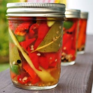 Cooking a fiery appetizer at home: how to pickle hot peppers for the winter using the best recipes from around the world