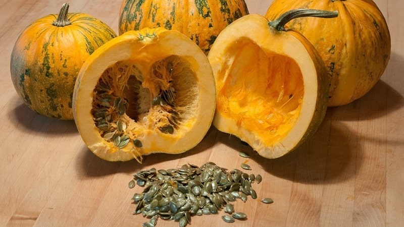 How to select and prepare pumpkin seeds for planting, and then grow an excellent harvest from them