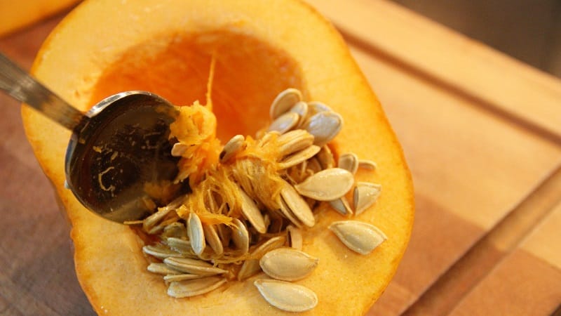 How to select and prepare pumpkin seeds for planting, and then grow an excellent harvest from them