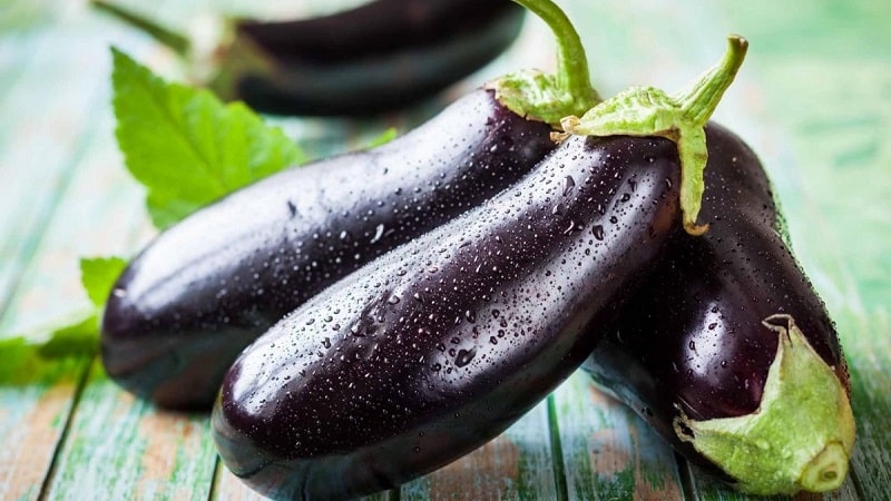 How to freeze eggplants fresh for the winter at home, and what to cook from them