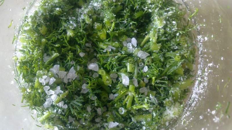 How to pickle dill in jars for the winter: simple recipes from experienced housewives
