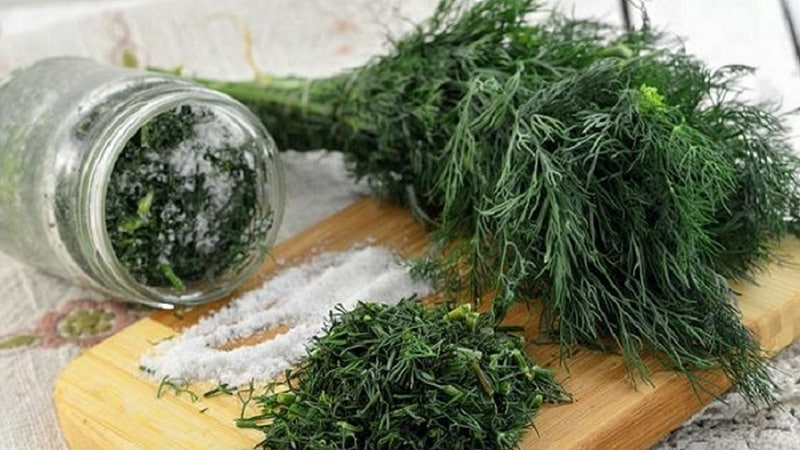 How to pickle dill in jars for the winter: simple recipes from experienced housewives