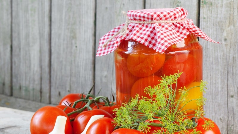 Canned tomatoes for the winter: a selection of the best recipes and useful tips for properly preparing twists