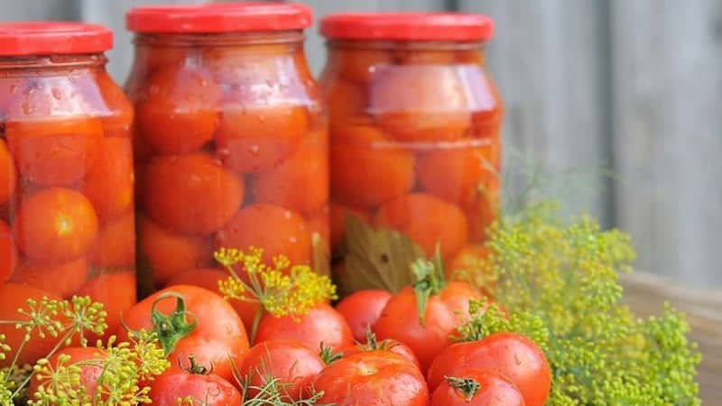 Canned tomatoes for the winter: a selection of the best recipes and useful tips for properly preparing twists