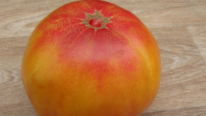 A large-fruited variety that summer residents are delighted with - the Mystery of Nature tomato