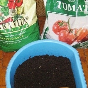 A large-fruited variety that summer residents are delighted with - the Mystery of Nature tomato