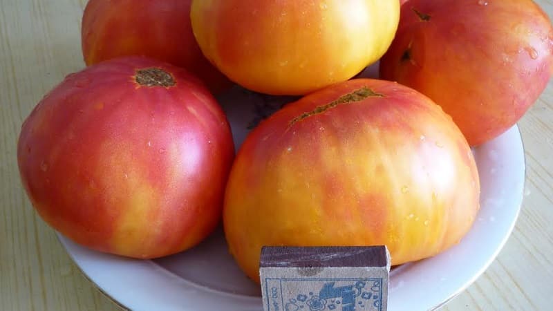 A large-fruited variety that summer residents are delighted with - the Mystery of Nature tomato