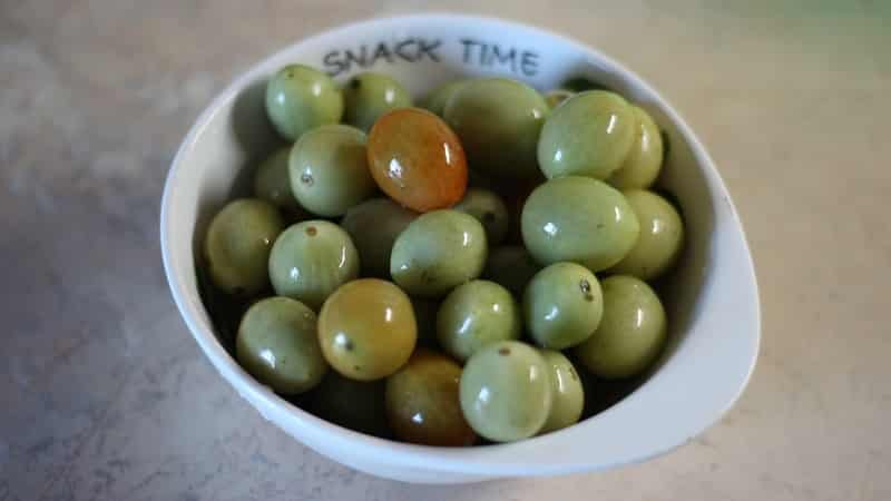 The best methods for cold pickling green tomatoes in a bucket