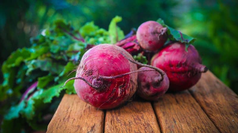 The best ways to store beets: choosing the right one and protecting the crop from damage