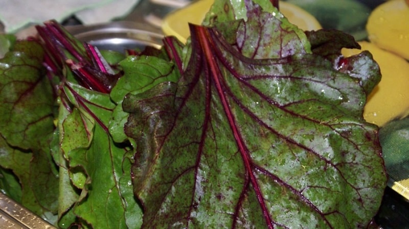 Les meilleures façons de préparer les feuilles de betterave pour l'hiver et leurs recettes