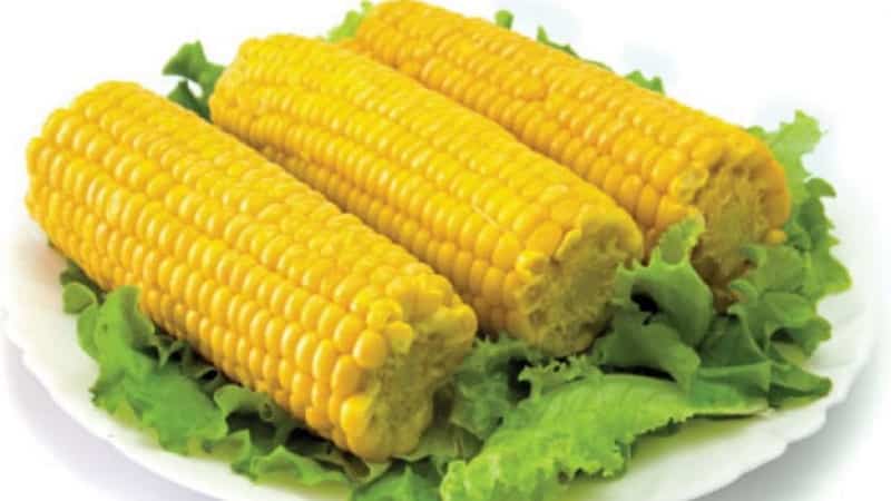 Is it possible or not to eat corn for type 2 diabetes: harm and benefits, consumption standards