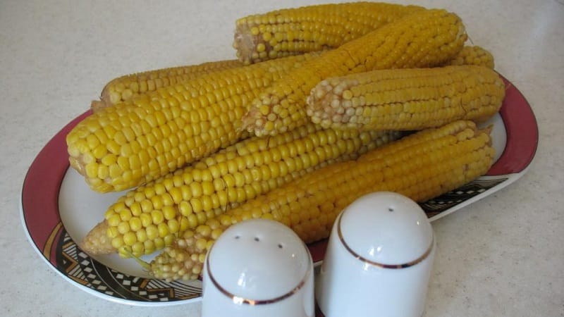 Is it possible to eat boiled corn while losing weight: calorie content, harm and benefits of the cereal