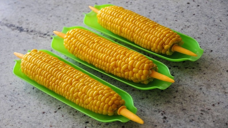 Is it possible to eat boiled corn while losing weight: calorie content, harm and benefits of the cereal