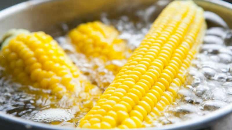 Is it possible to eat boiled corn while losing weight: calorie content, harm and benefits of the cereal