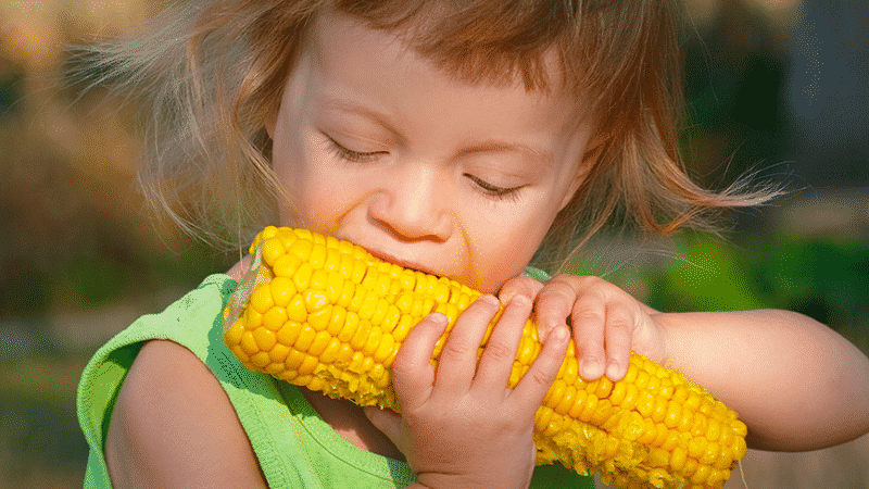 Is it possible to eat boiled corn while losing weight: calorie content, harm and benefits of the cereal