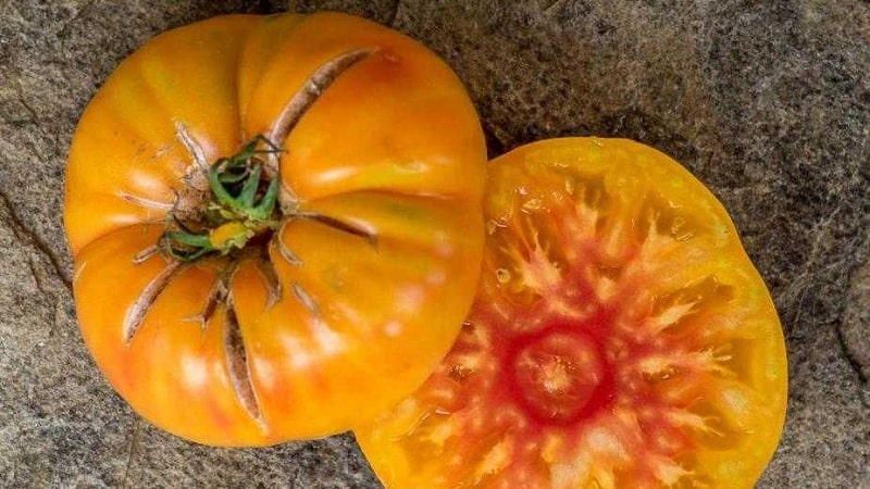 Incredibly sweet and amazingly beautiful tomato Honey Salute