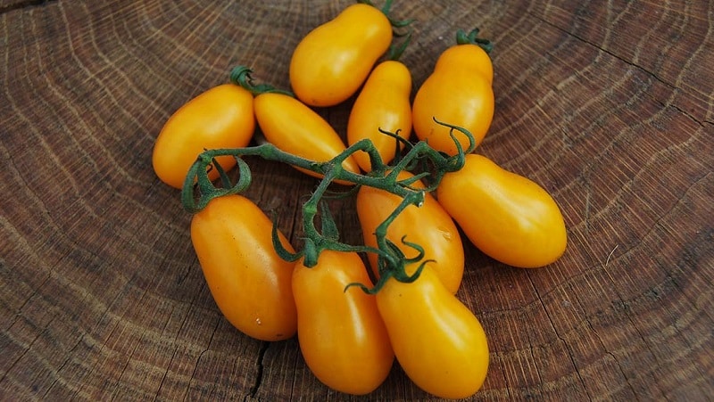 Adored by children and adults, this bright greenhouse hybrid with a fruity flavor is the Yellow Date tomato.