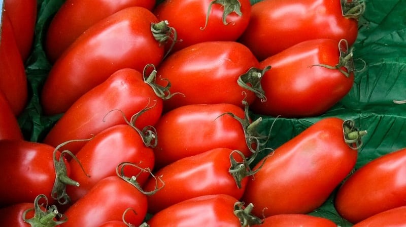 Why gardeners like the Delicatessen tomato so much and how to grow it on your plot and get a bountiful harvest