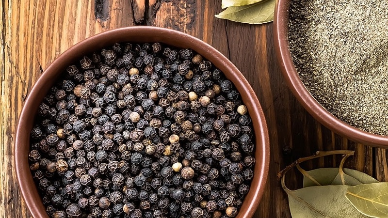 The benefits and harms of black pepper, as well as methods of its use in cooking, cosmetology and traditional medicine