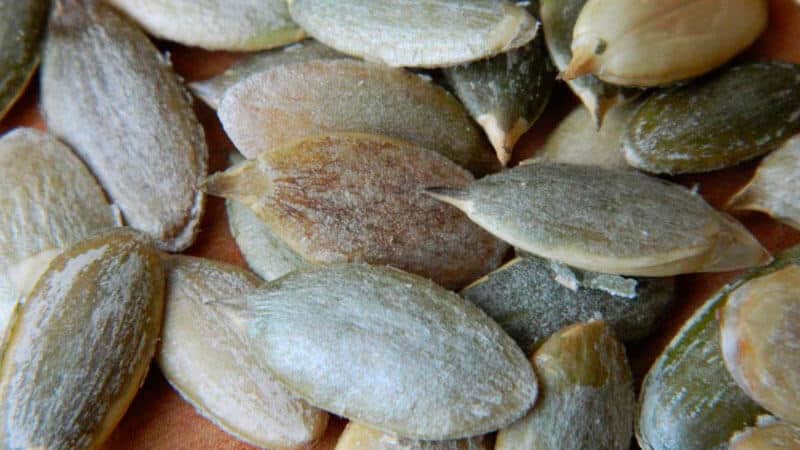 The benefits and harms of pumpkin seeds for women: therapeutic effect and rules for using pumpkin seeds