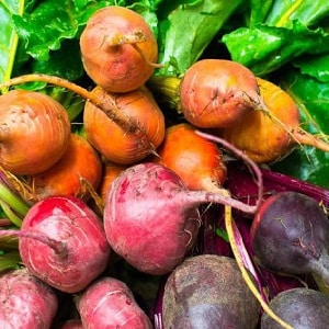 Step-by-step instructions for planting beets in open ground in spring and further caring for them