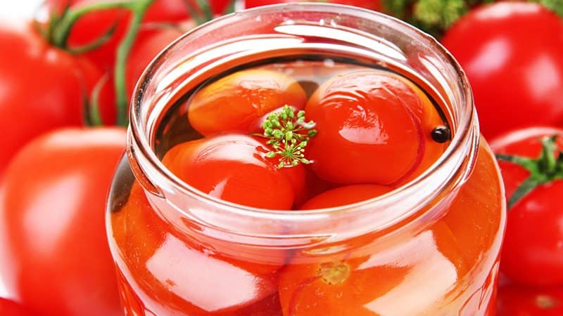 The most delicious recipes for pickled tomatoes in jars for the winter: how to prepare and roll up the preparations correctly
