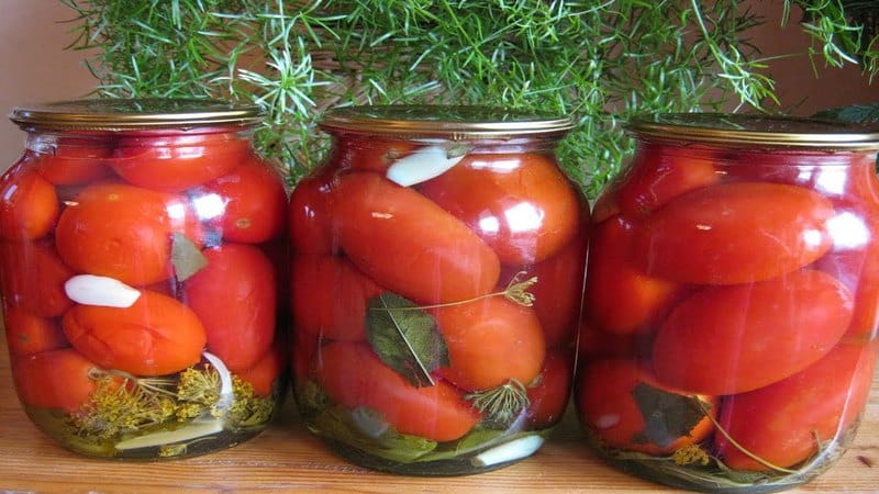 The most delicious recipes for pickled tomatoes in jars for the winter: how to prepare and roll up the preparations correctly