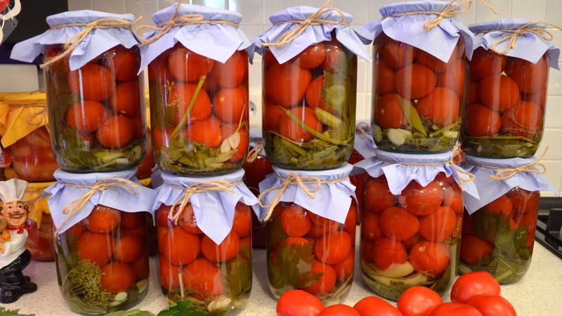 The most delicious recipes for pickled tomatoes in jars for the winter: how to prepare and roll up the preparations correctly