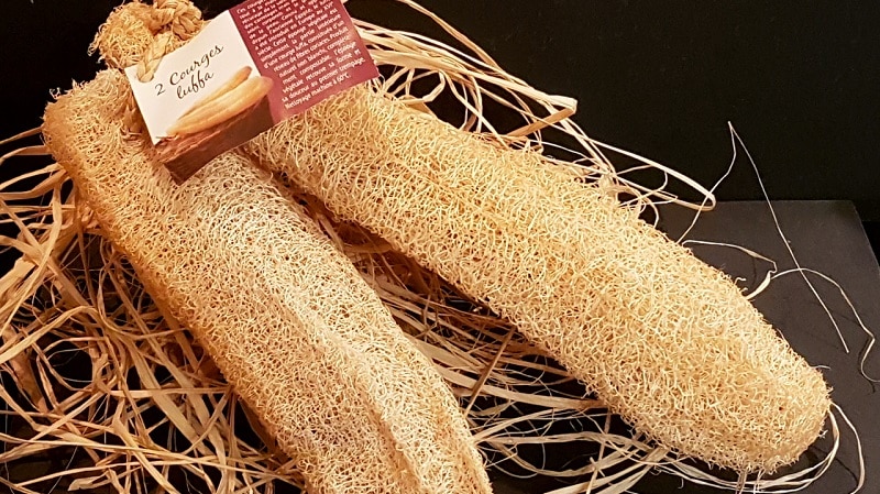 The most unusual type of Luffa pumpkin: what it is and how to make a useful natural washcloth from it