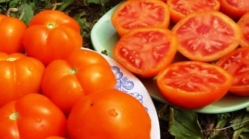 The variety that will become your favorite is the Grapefruit tomato: large, easy to care for and amazingly tasty