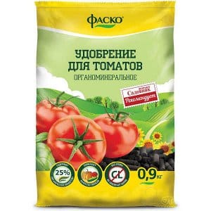 Fleshy, tasty and very aromatic Danko tomato: we get a rich, stable harvest