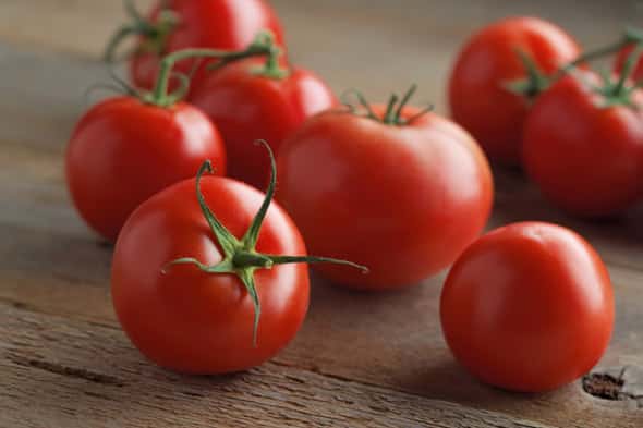 A gift from Ural breeders for regions with cold climates - the Red Guard tomato