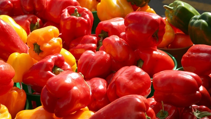Top 10 best varieties of thick-walled sweet peppers for open ground