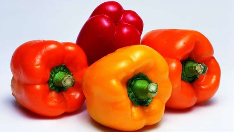 Top 10 best varieties of thick-walled sweet peppers for open ground