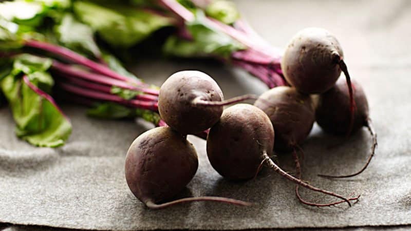 Healing properties of red beets and contraindications to its use