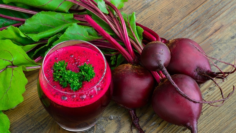 Healing properties of red beets and contraindications to its use