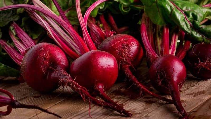 Healing properties of red beets and contraindications to its use
