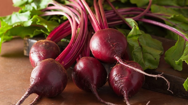 Healing properties of red beets and contraindications to its use