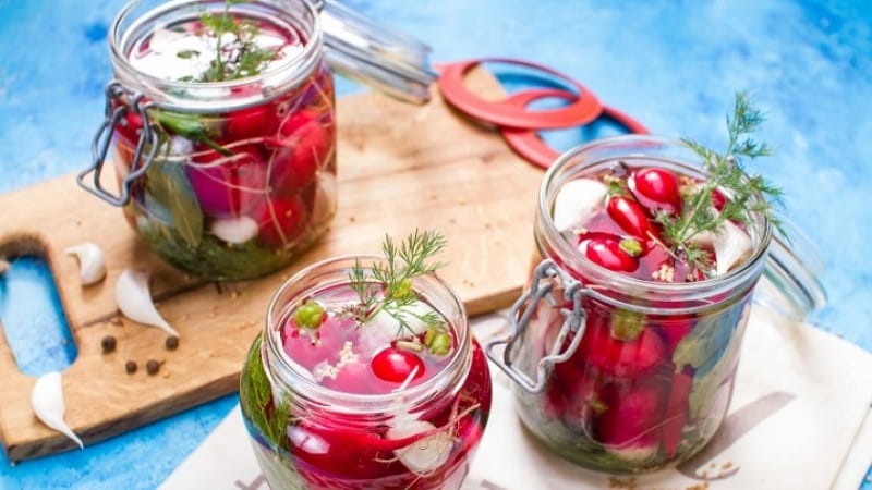 Preparing radishes for the winter: simple and tasty recipes for healthy snacks