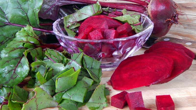 Les meilleures façons de préparer les feuilles de betterave pour l'hiver et leurs recettes