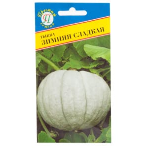 Sweet winter pumpkin, popular among farmers, with a pleasant taste and high yield for long-term storage