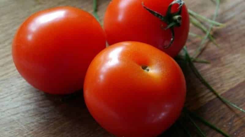 A gift for gardeners from northern regions with difficult climates - a stable and productive Snowdrop tomato
