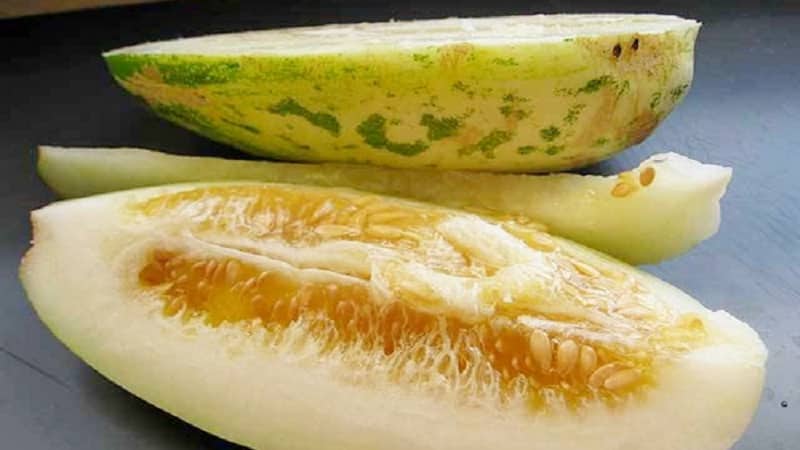 What is cucumber, how is it grown and eaten?