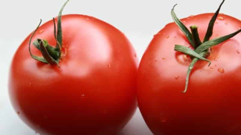 A new hybrid with powerful bushes and an abundant harvest of tomatoes - tomato Katrina f1