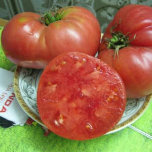Growing a Giant tomato on your own plot: planting secrets and care tips