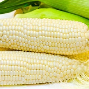 Sweet corn: choosing the best variety and growing the dessert variety correctly